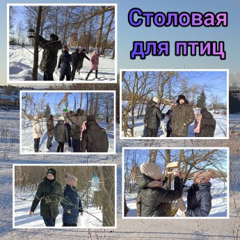 «Столовая для птиц»