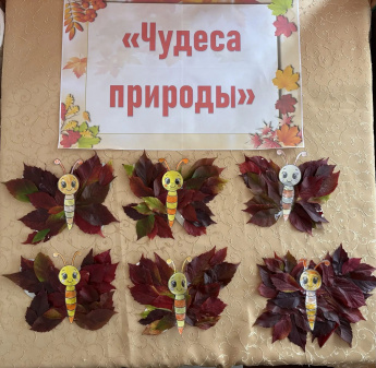 Мастер-класс «Чудеса природы»