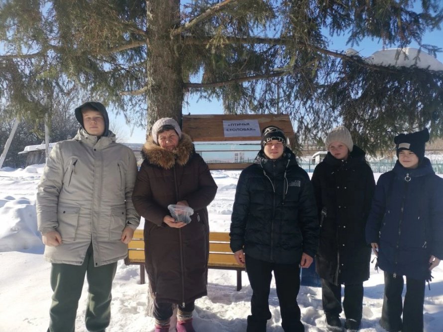 Птичья столовая